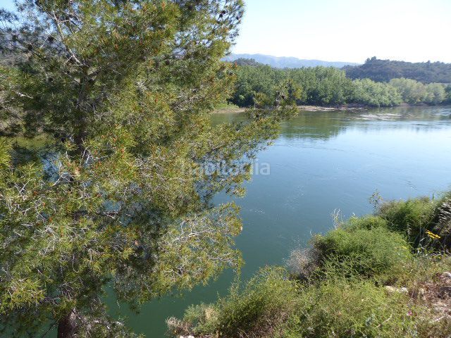 Foto a6a77317-cf15-43a0-b5b2-41c606c97129. Masía en Xerta