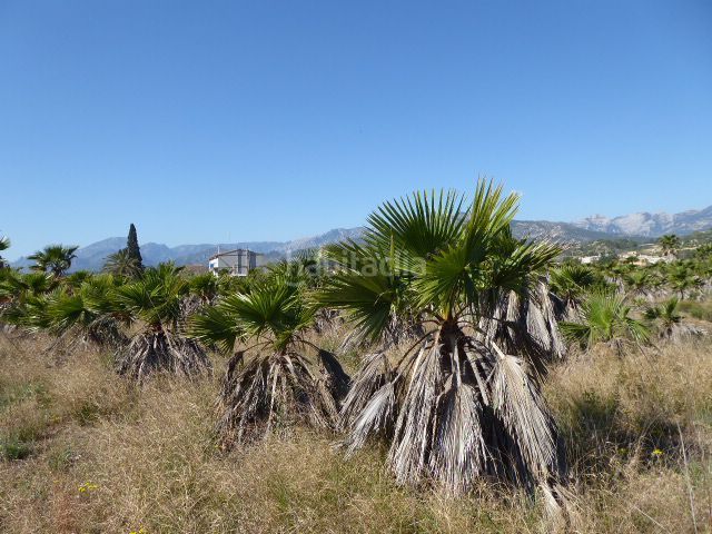 Foto b0d6b9fe-70ad-4001-b019-a5d75c12b16a. Masía en Xerta