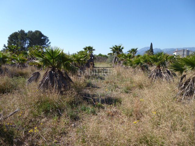 Foto cd0388f1-65d9-4b12-a1fd-350a6aeafe45. Masía en Xerta