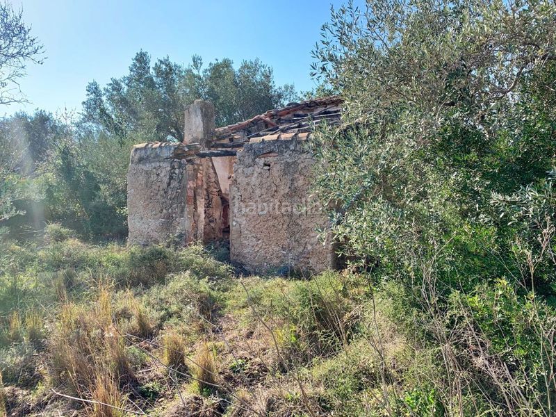 Foto 2a6bd3fe-ff4b-47d4-8685-2bbf861be498. Masía en Roquetes