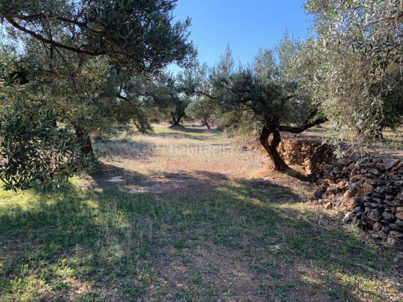 Foto cc44a0eb-08ca-4db3-9b5e-75f896d3f9f3. Masía en Xerta