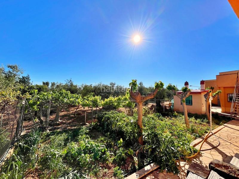 Foto bce86ad7-9dde-499f-8c2a-203c2e7b7e24. Chalet en Camarles