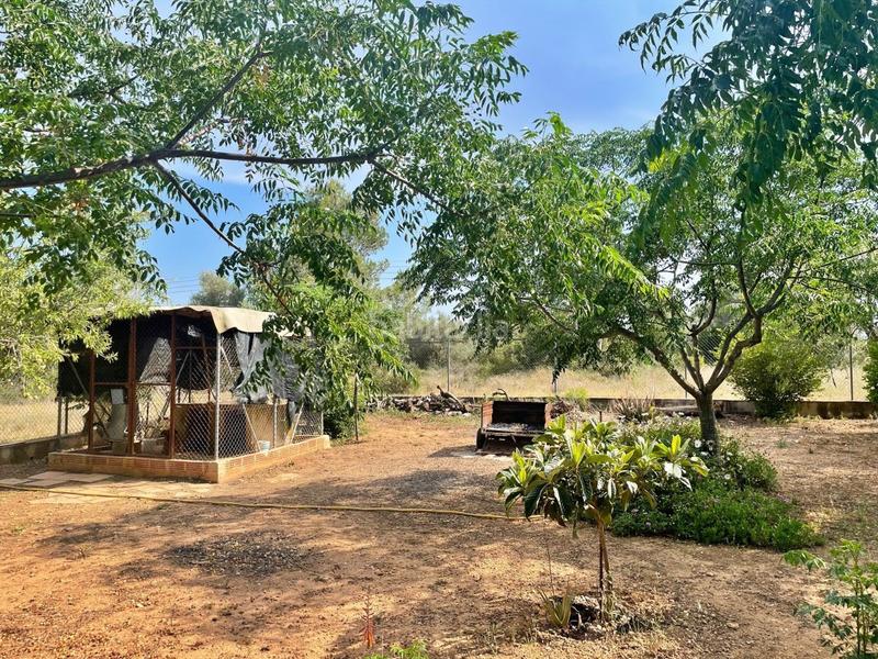 Foto d8120dc3-6fda-4518-a449-71ff1c65a5a2. Chalet in Jesús - Els Reguers Tortosa