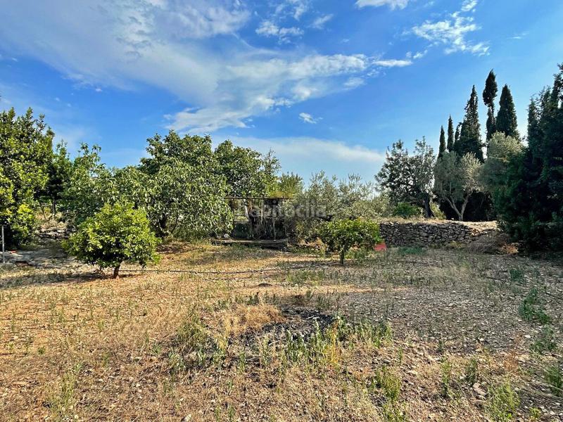 Foto 81baeca2-d5c9-46b0-88f0-0a728092f425. Chalet en Jesús - Els Reguers Tortosa