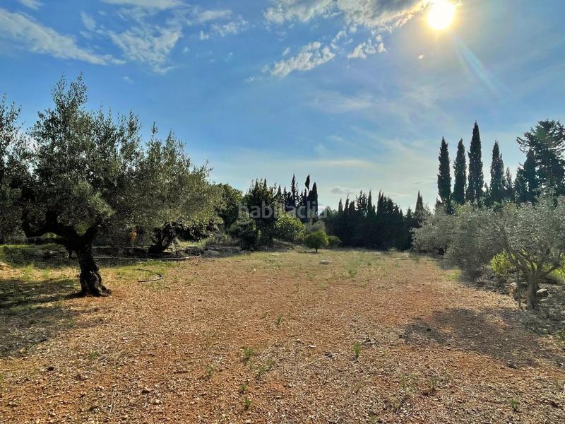 Foto 832ba5ed-49b3-4d68-a6d5-a1bb2e0a58d3. Chalet en Jesús - Els Reguers Tortosa