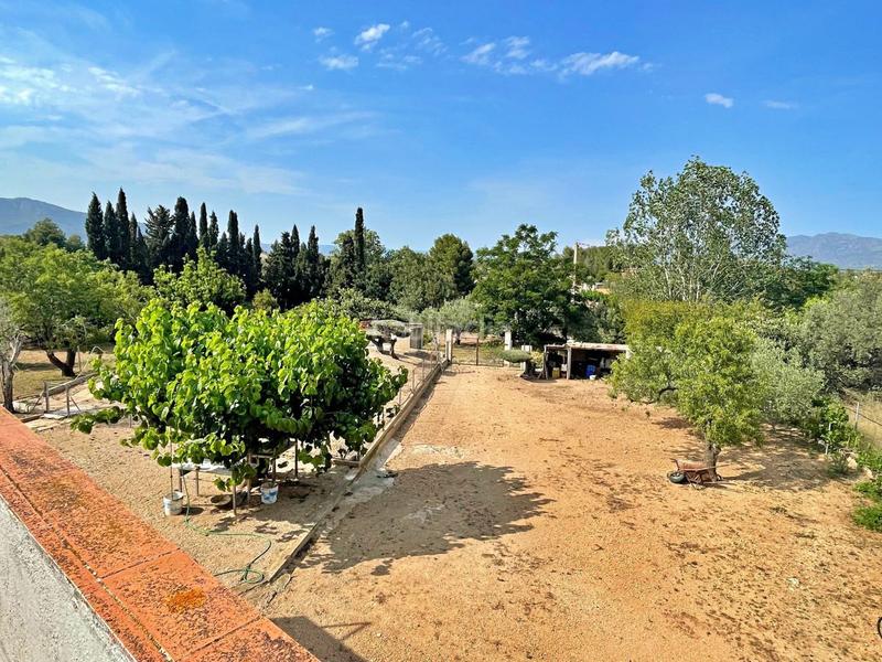 Foto e198ebf5-7f6a-42b6-83fc-967731674f96. Chalet en Jesús - Els Reguers Tortosa