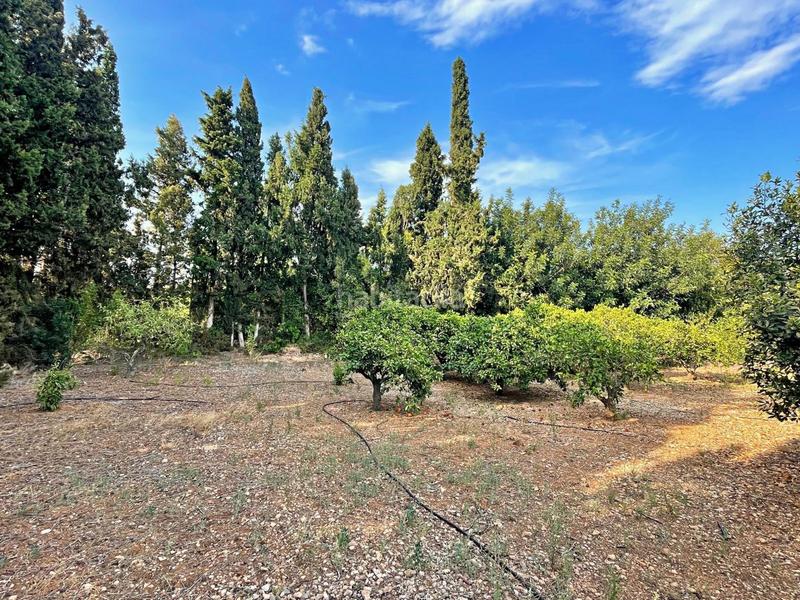 Foto 2e6cd4e5-a897-4db4-9ec4-ac27f2217b92. Chalet in Jesús - Els Reguers Tortosa