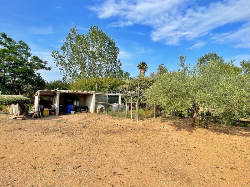 Foto 1ce1bc7c-8128-4b31-bf69-7febc9ae4543. Xalet a Jesús - Els Reguers Tortosa