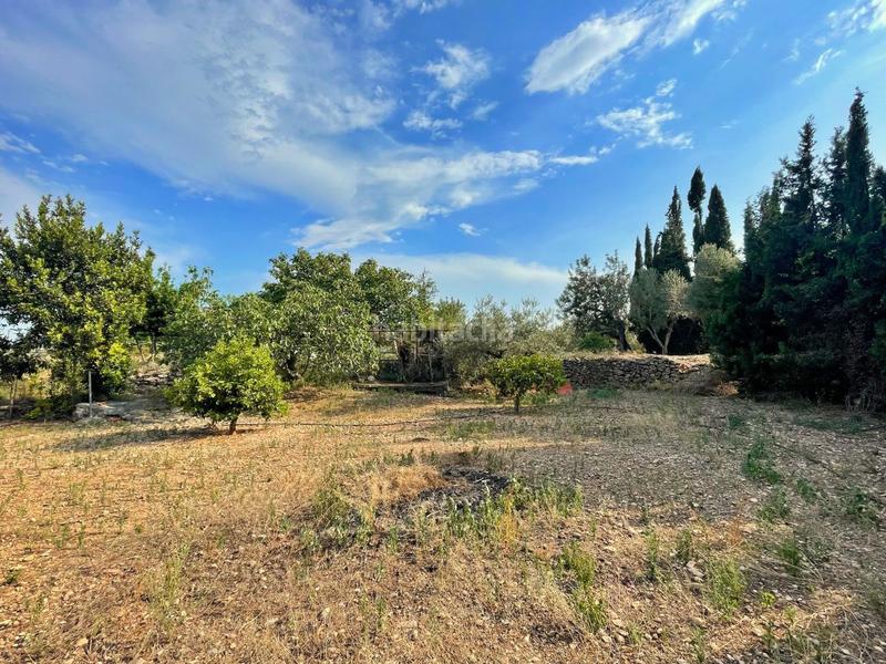 Foto 1cec5f85-a276-4c1d-b4a1-9d0f0339385e. Xalet a Jesús - Els Reguers Tortosa