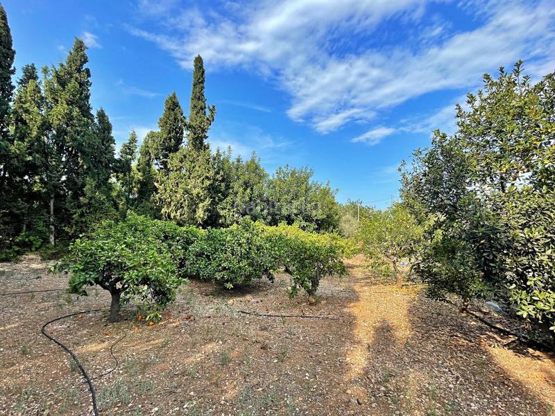 Foto 34c8f412-1342-459a-8682-30c3d24d3e91. Xalet a Jesús - Els Reguers Tortosa