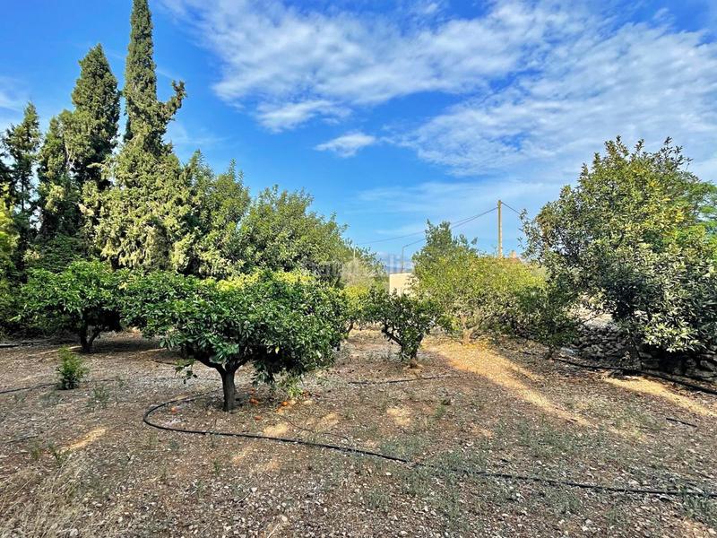 Foto 398fc988-a748-49a6-a740-42bed6ce185b. Xalet a Jesús - Els Reguers Tortosa