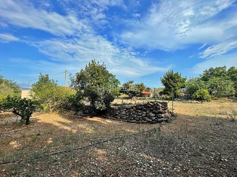Foto bf206304-9380-4ecf-974c-8c5de859dc37. Xalet a Jesús - Els Reguers Tortosa