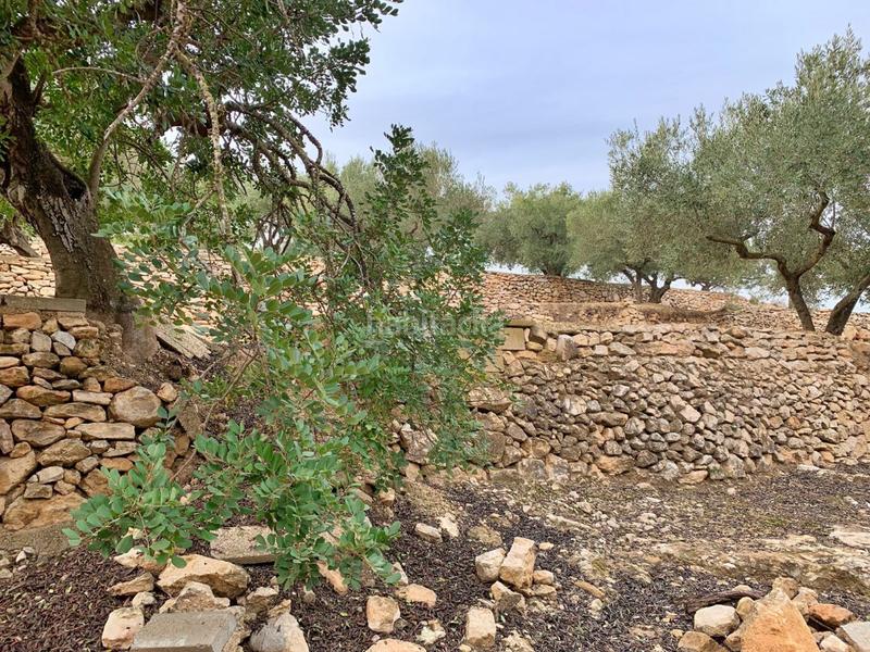 Foto 14ed0cad-eb3b-47d0-aac4-dbf129e8c7ca. Chalet en Urbanitzacions Tortosa