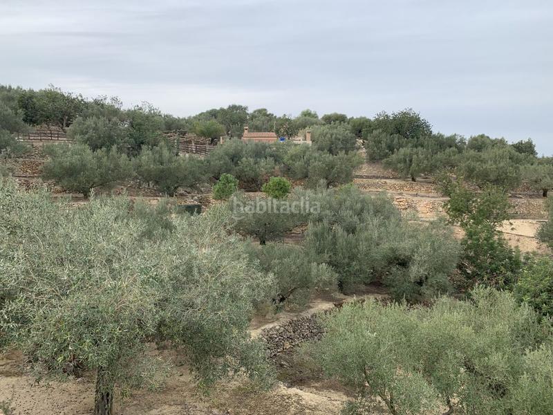 Foto 8ccdd5b9-5fc8-4f10-8c5b-f1942922e65d. Chalet en Urbanitzacions Tortosa