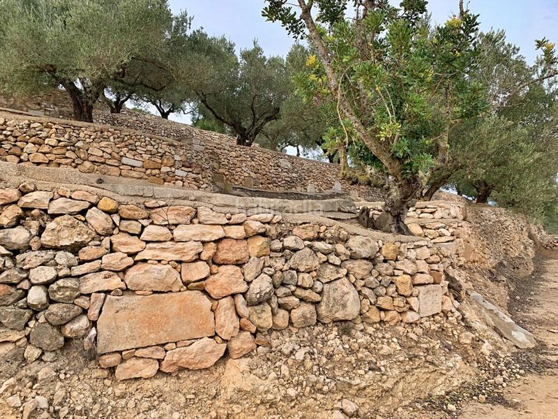 Foto 08d4dd90-0050-4620-a996-469f7221843c. Xalet a Urbanitzacions Tortosa