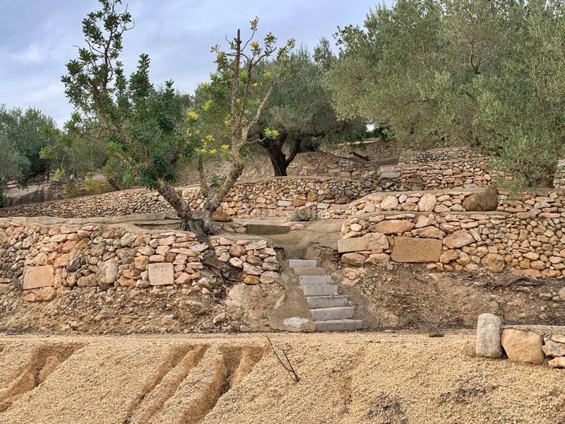 Foto 0c81c793-62f2-48d9-b2f4-ebe002e08dbc. Xalet a Urbanitzacions Tortosa