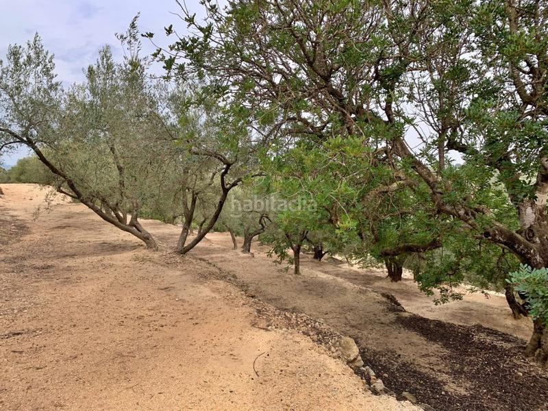 Foto 0fbc39ec-7b12-4f0f-a106-9a81b2974f0f. Xalet a Urbanitzacions Tortosa