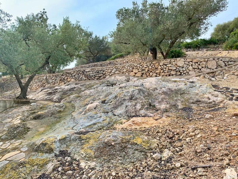 Foto 16935b3b-3fe0-4854-be7e-2c50970507c6. Xalet a Urbanitzacions Tortosa