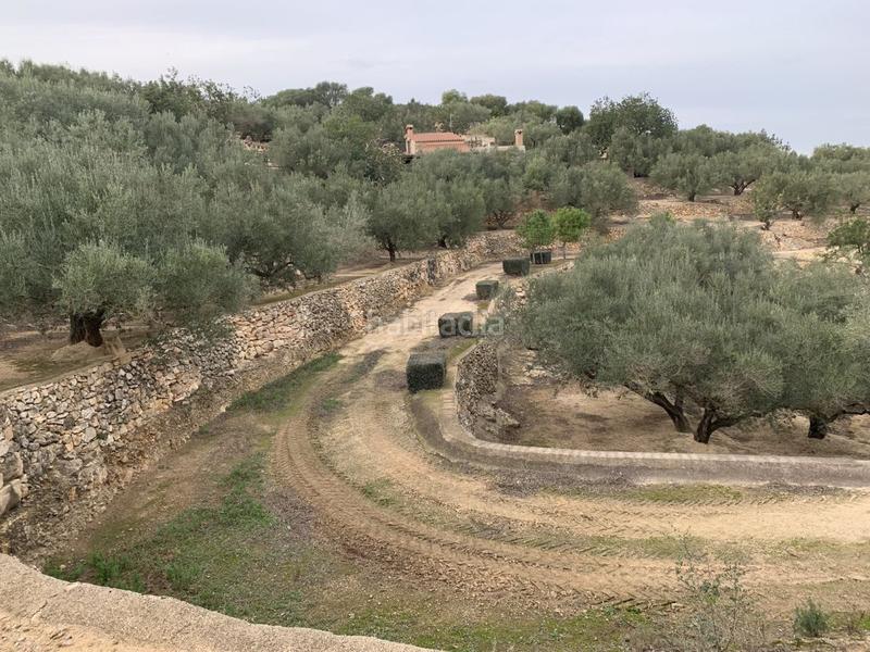 Foto 3c1a9659-1a86-42c5-9d12-c46adfd07e69. Xalet a Urbanitzacions Tortosa