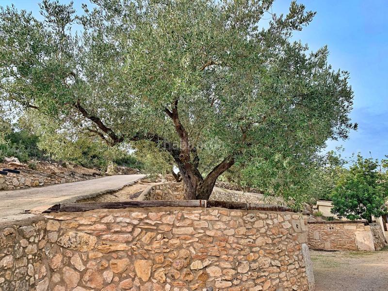 Foto 4b59f6c2-300e-4c50-9729-d59224c9728c. Xalet a Urbanitzacions Tortosa