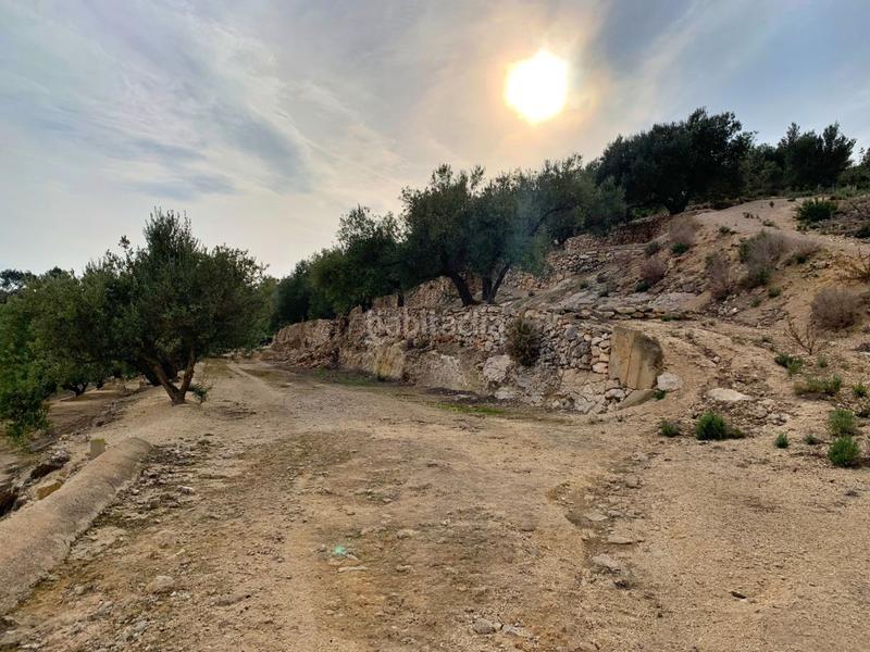 Foto 4d65c25a-aa4d-44e3-b8ef-6859fa518993. Xalet a Urbanitzacions Tortosa