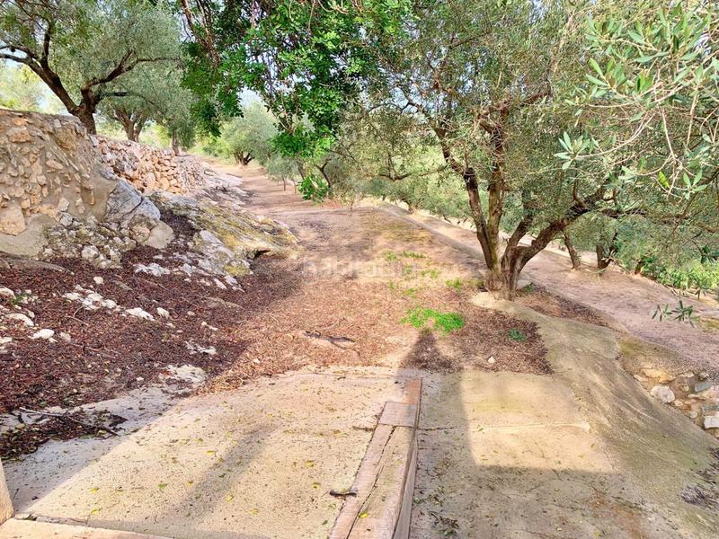 Foto 57425065-27aa-4edd-abdb-9044ff4e2203. Xalet a Urbanitzacions Tortosa