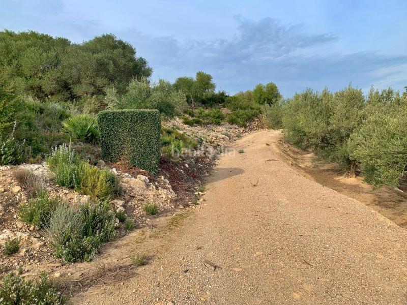 Foto 6059576a-12d7-4c52-a581-50638d7869fb. Xalet a Urbanitzacions Tortosa