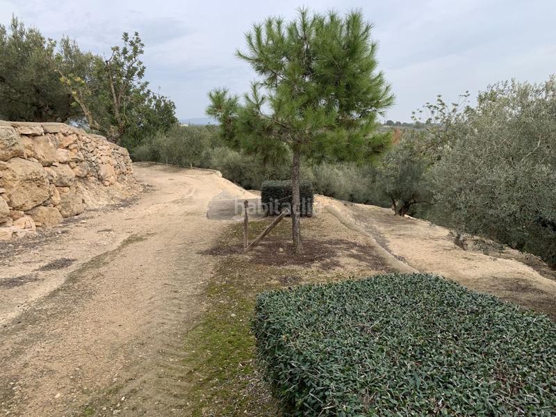 Foto 6f31f28a-bb57-4120-b4e8-e4ee963ebb5a. Xalet a Urbanitzacions Tortosa