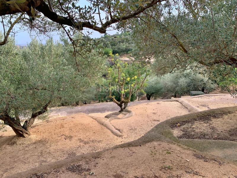 Foto 771b3c3c-b6d4-482d-9601-761abf896229. Xalet a Urbanitzacions Tortosa