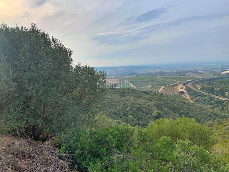 Foto 7ba77acf-c774-47ef-9fc0-97cb1de82aed. Xalet a Urbanitzacions Tortosa