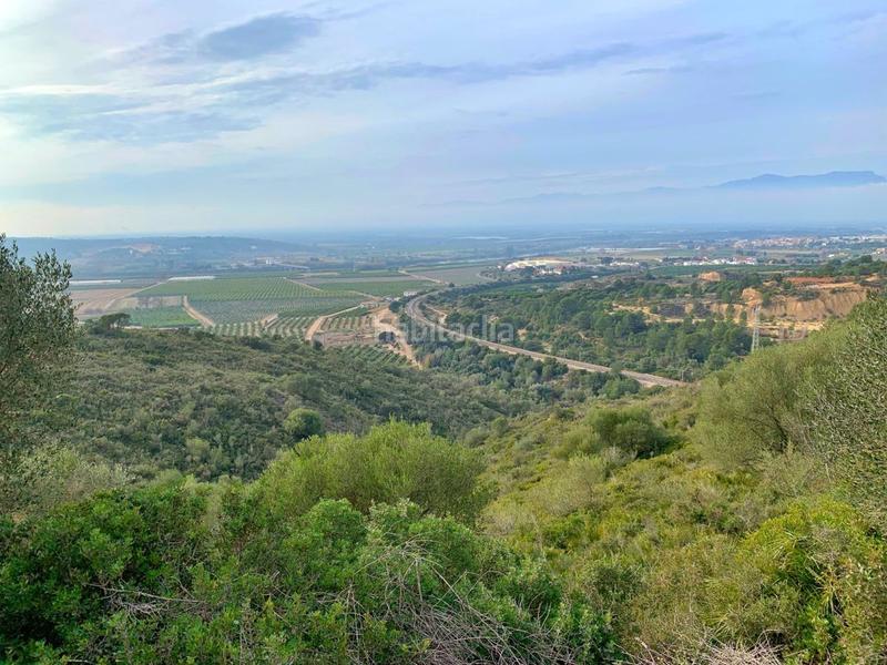 Foto 993d6e8f-cef5-4613-a956-2d4776b0c265. Xalet a Urbanitzacions Tortosa