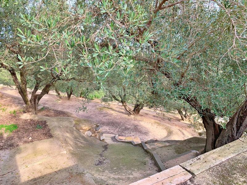 Foto aa517db2-6989-4057-a407-a50174a6bdc4. Xalet a Urbanitzacions Tortosa