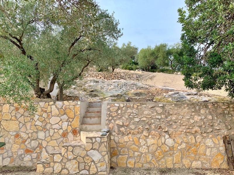 Foto ef8ebbf5-35ee-48ef-9b02-10a190f6b996. Xalet a Urbanitzacions Tortosa