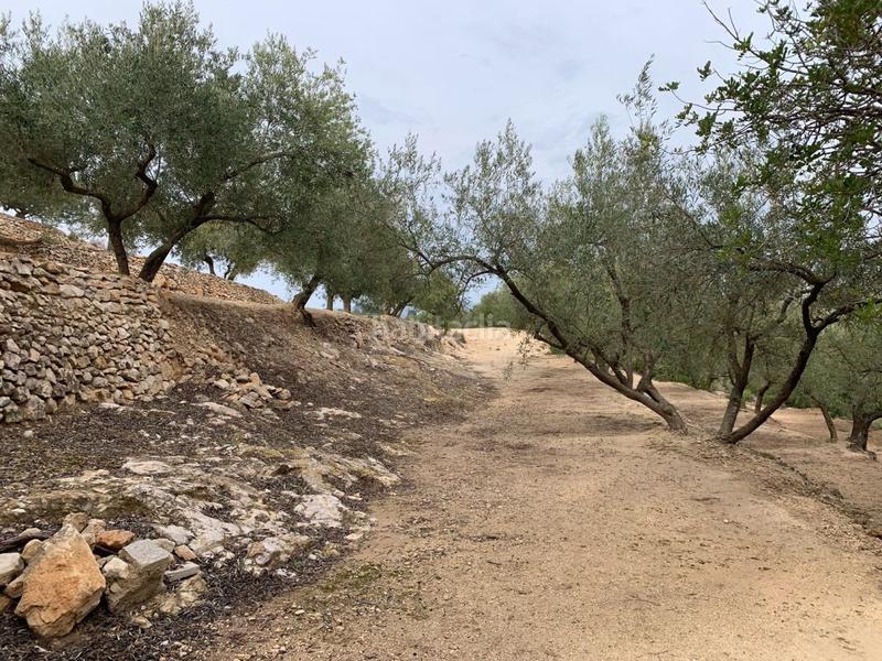 Foto f625a68a-36e3-421c-ad42-7b9f7b4b9687. Xalet a Urbanitzacions Tortosa