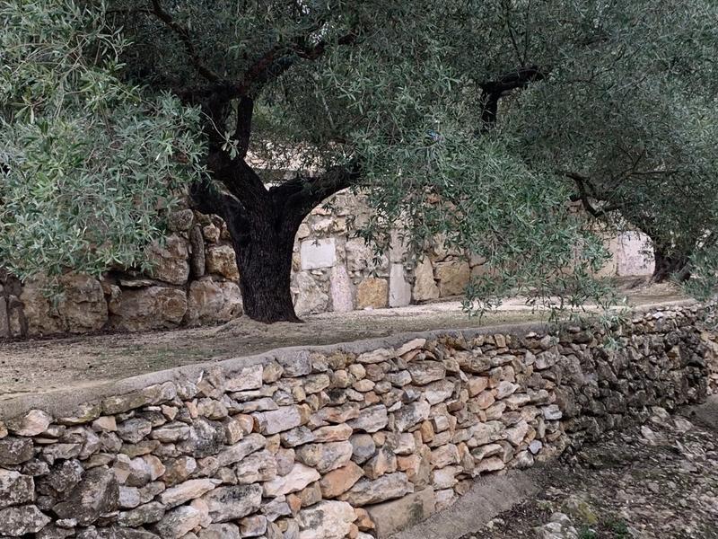 Foto fc5d6918-e468-4fcf-8587-4adc6d8db02e. Xalet a Urbanitzacions Tortosa