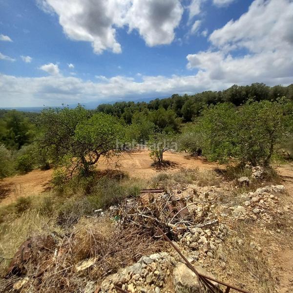 Foto 6aa98fa1-d4bb-4e85-a239-a50f2d8f9d65. Finca rústica a Bítem Tortosa