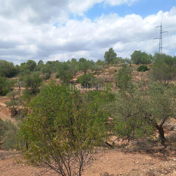 Foto 842bafc8-5130-49e2-b748-3d3bc7946346. Finca rústica a Bítem Tortosa