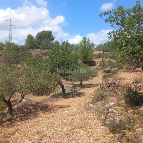 Foto a4fcf9b5-e476-4fc4-b161-2146385ffd99. Finca rústica a Bítem Tortosa