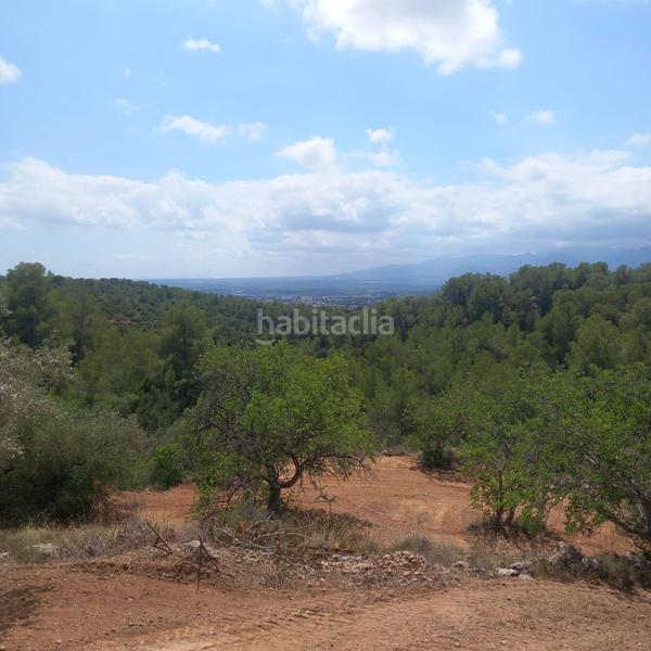 Foto a6f31b9a-1fa0-40ef-a5dd-8ad07a1afa4c. Finca rústica a Bítem Tortosa