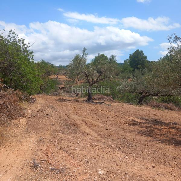 Foto b22d0a95-bef6-4e3b-bc19-235a74455ff6. Finca rústica a Bítem Tortosa