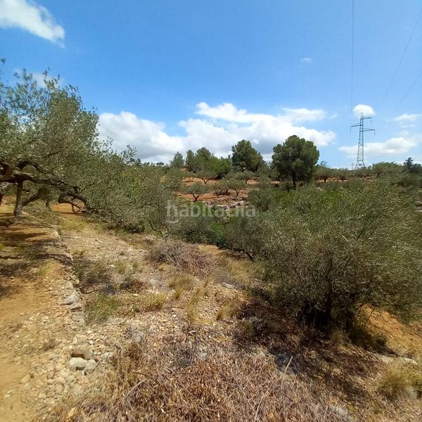 Foto b826cbae-505b-4f01-b1cd-7ca266b521cd. Finca rústica a Bítem Tortosa