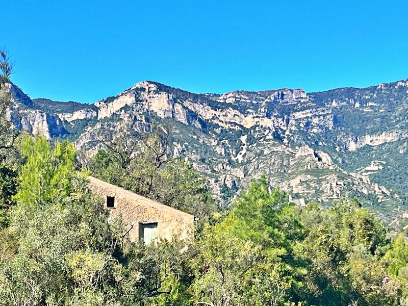 Foto cfa2114b-6298-43cc-a0ed-1265b857cfed. Chalet in Mas de Barberans