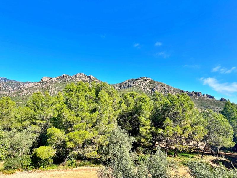 Foto fc0db86c-a794-4508-95a5-d721cf8eacf6. Chalet in Mas de Barberans