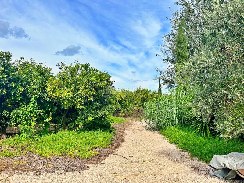 Foto 45683a27-ef1e-425a-867b-8c45252ffcaa. Chalet dans Bítem Tortosa