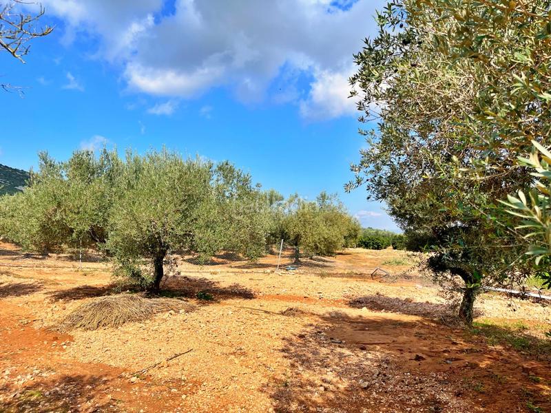 Foto 476f0702-27c6-4b73-aaca-f0ed61eda8d7. Chalet dans Freginals