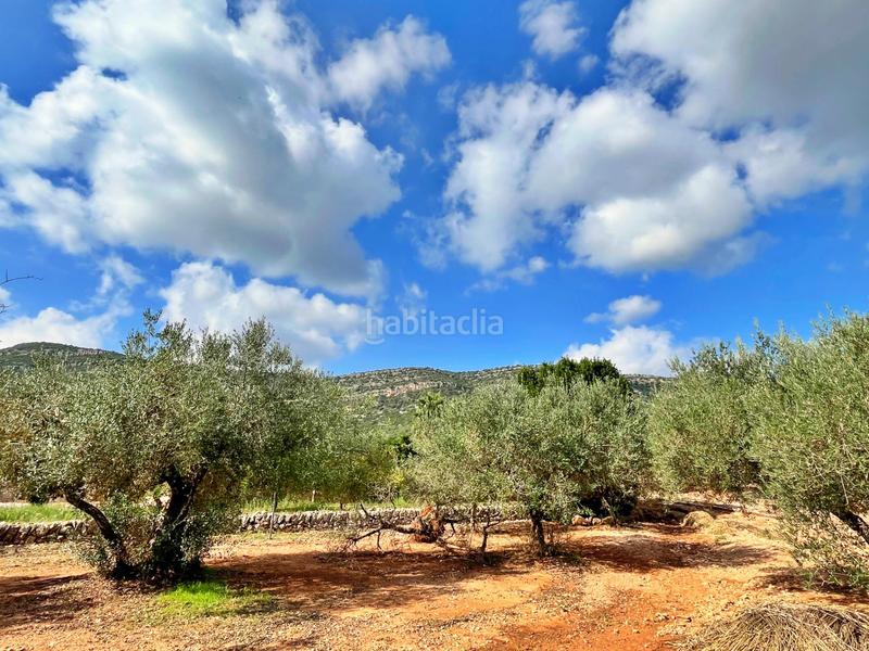 Foto 641c1b97-ea9d-4ea0-a5e3-f86f5ff84427. Chalet dans Freginals