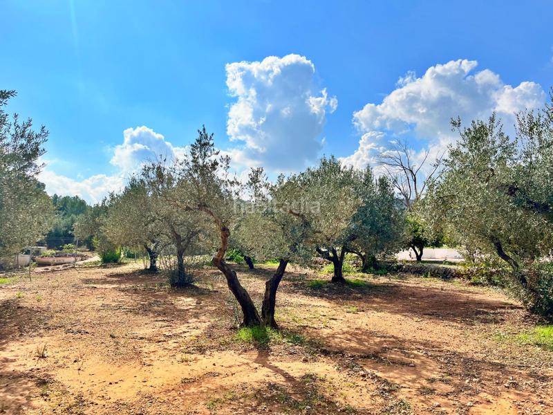 Foto a46047da-b3fc-44d3-a58a-af473c3eec6f. Chalet dans Freginals