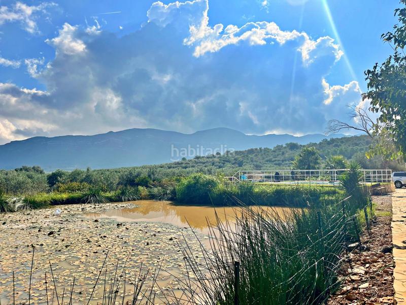 Foto f730a81b-855d-4b51-a10e-204d0bf91be4. Chalet dans Freginals