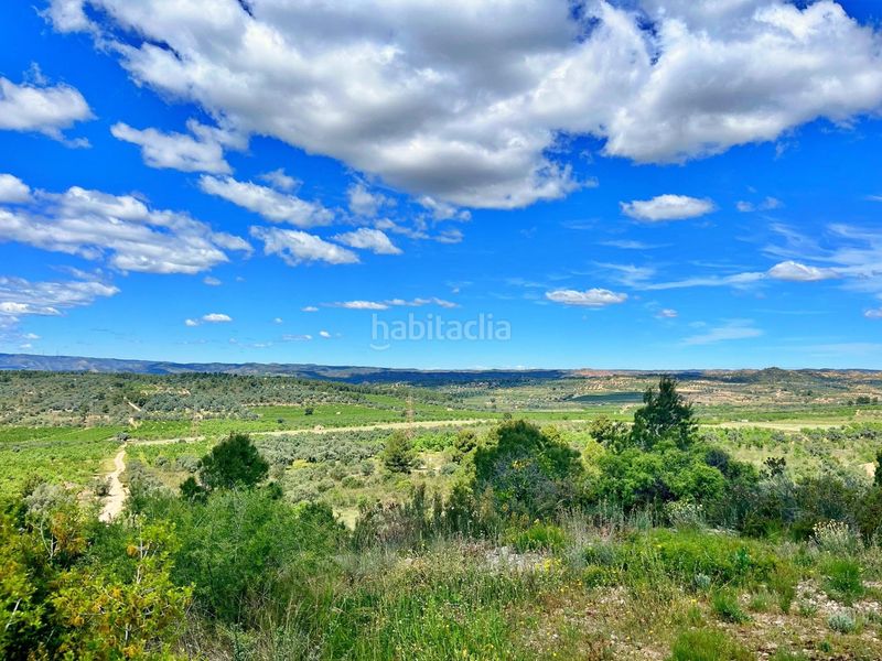 Foto 93bf717d-8565-4672-9740-5ca9fcb6ac5f. Xalet a Flix