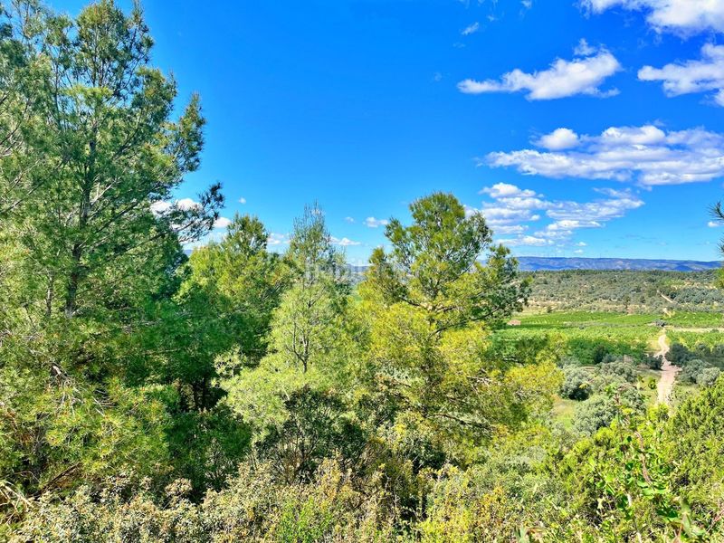 Foto c66f94a4-2402-427b-989f-f15b1b4ac65b. Xalet a Flix